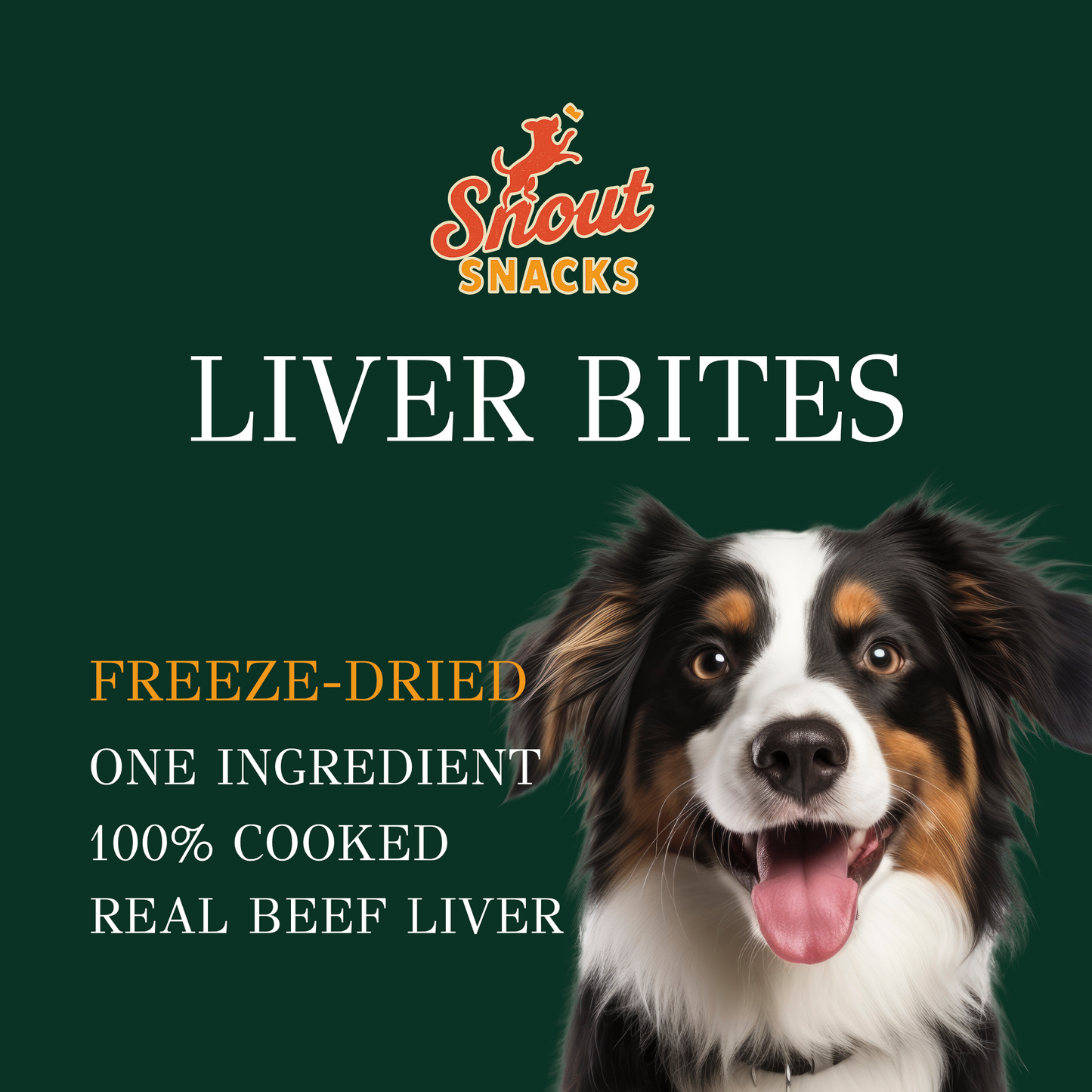 Beef Liver Bites - Dog Training Treats