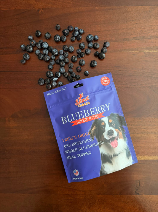Blueberry Boost Bites