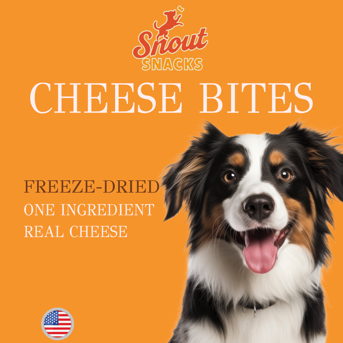 Cheese Bites - Dog Training Treats